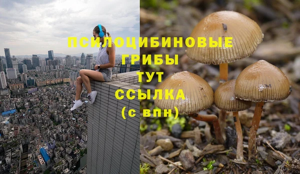МДПВ Козельск