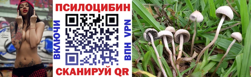 Купить  Волжск  Псилоцибиновые грибы мухоморы 